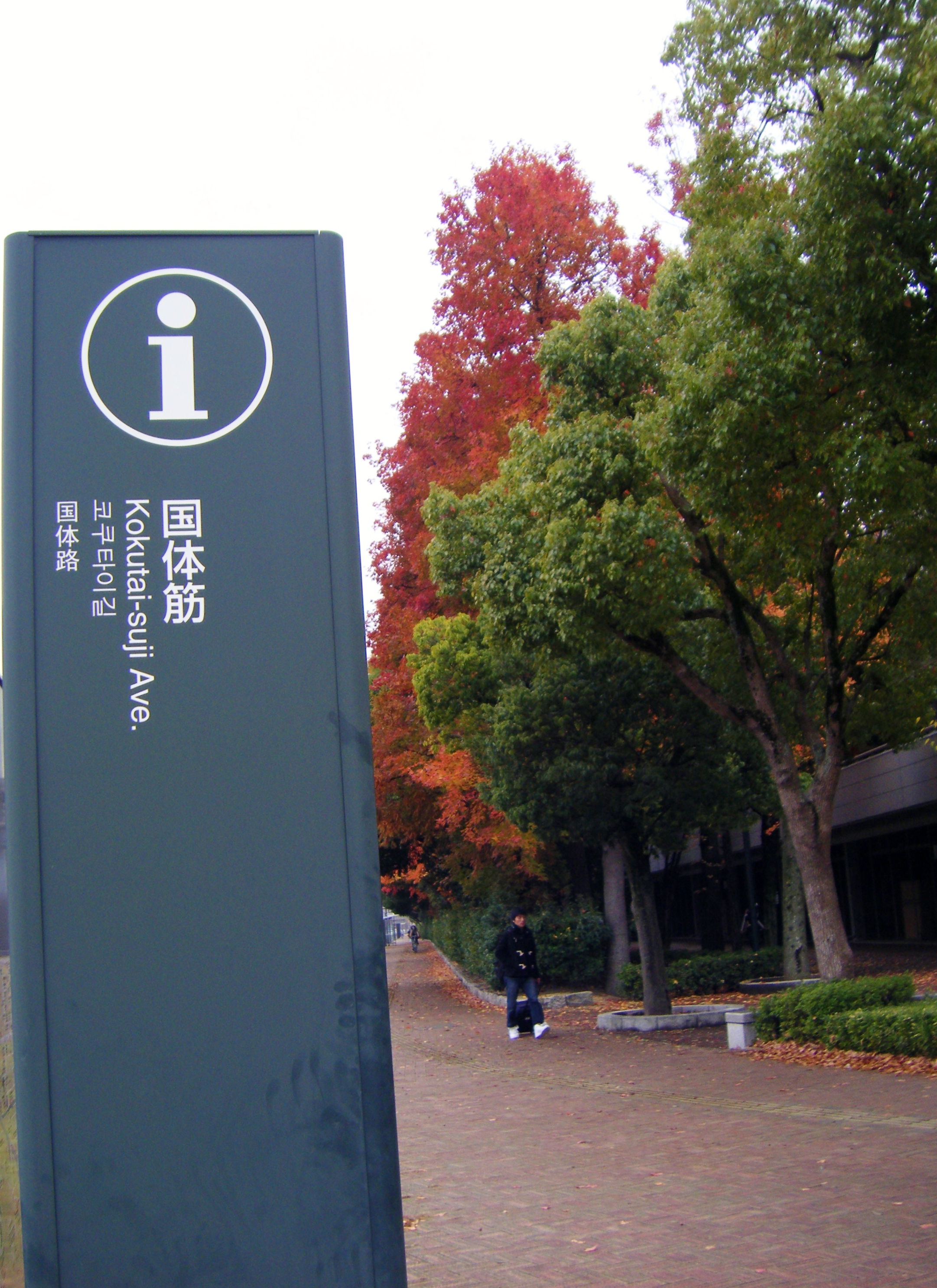 107.JPG