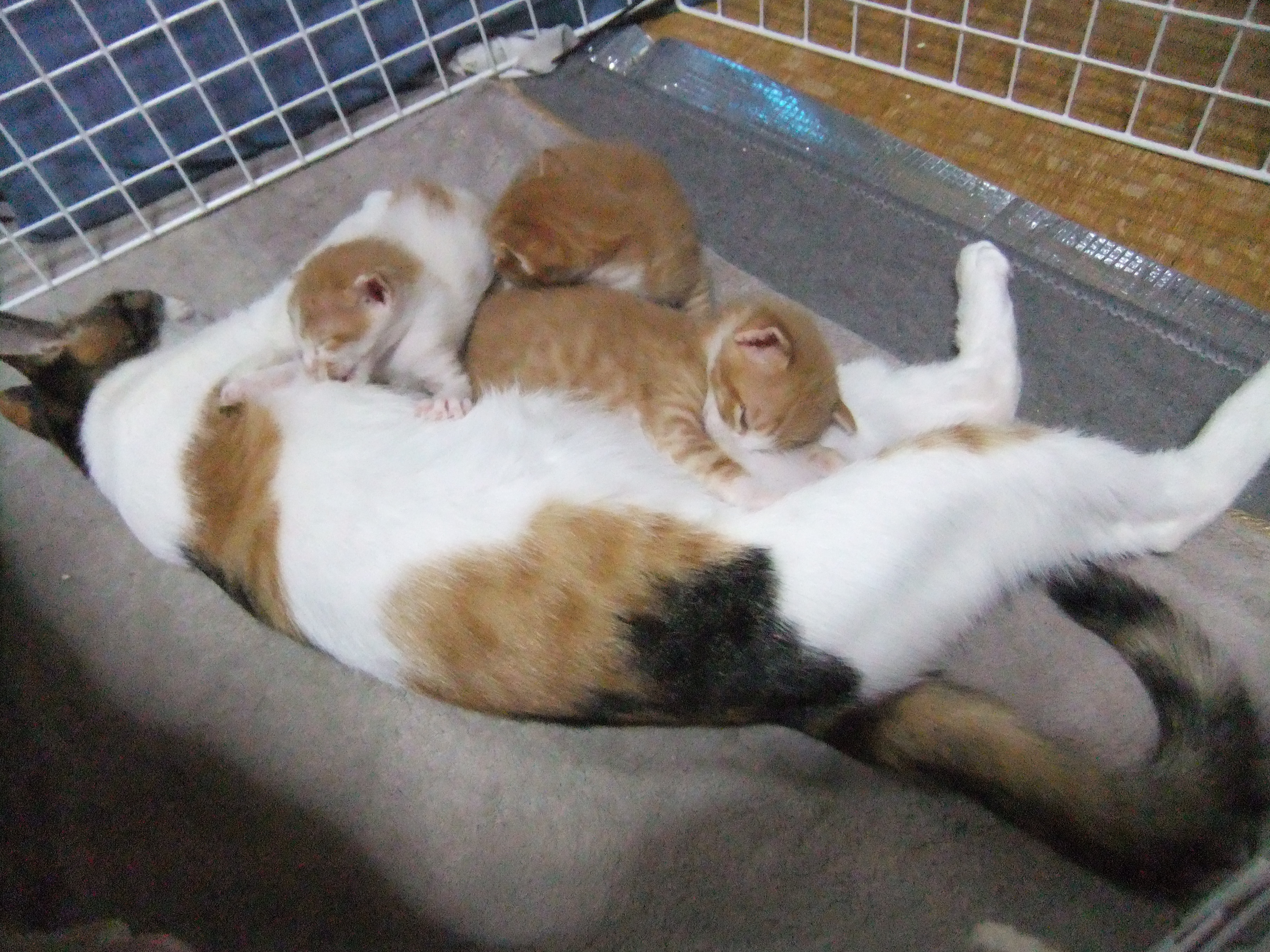 DSCF7030.JPG