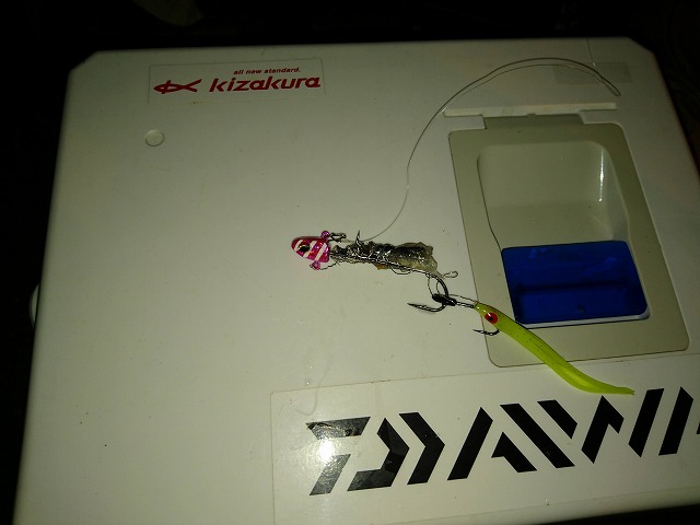 showPhoto (640×480)