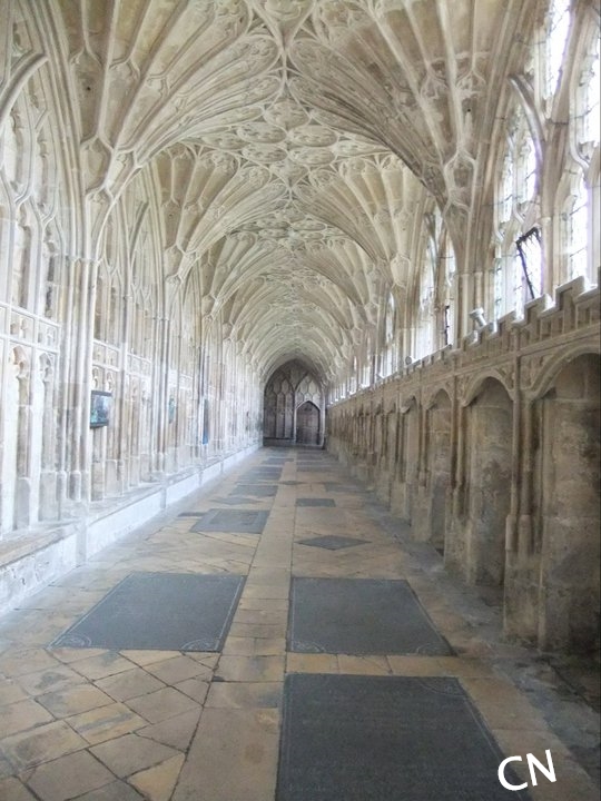 222976_10150169644947821_5911526_n[2] (2).jpg