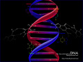 01_DNA-b.jpg