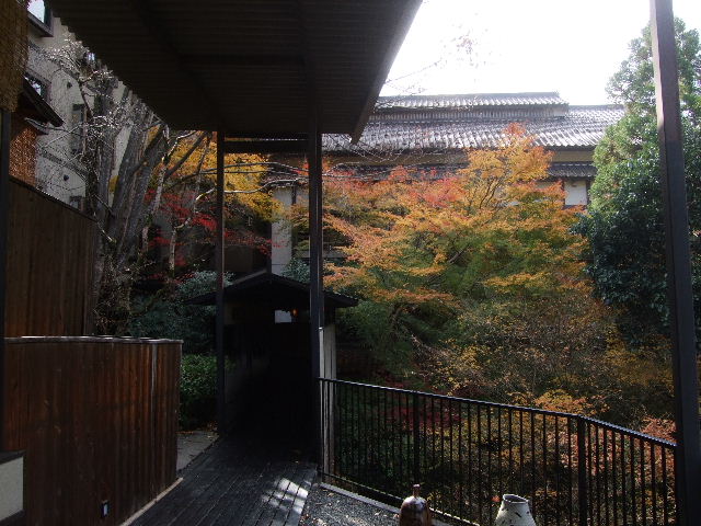 DSCF5618.JPG
