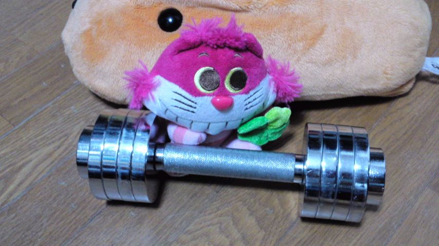 mini_141027_2228.jpg