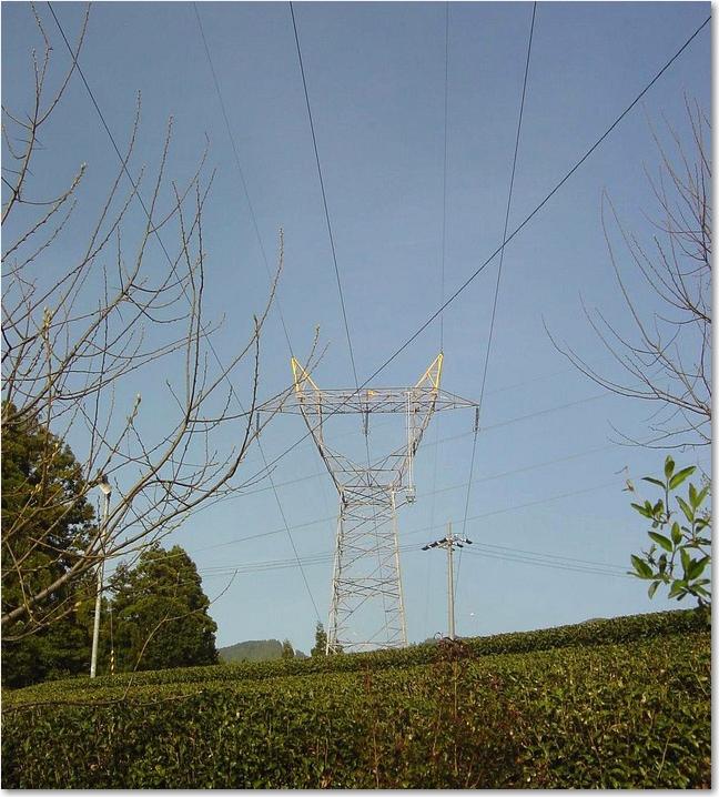 49これがその鉄塔？.JPG