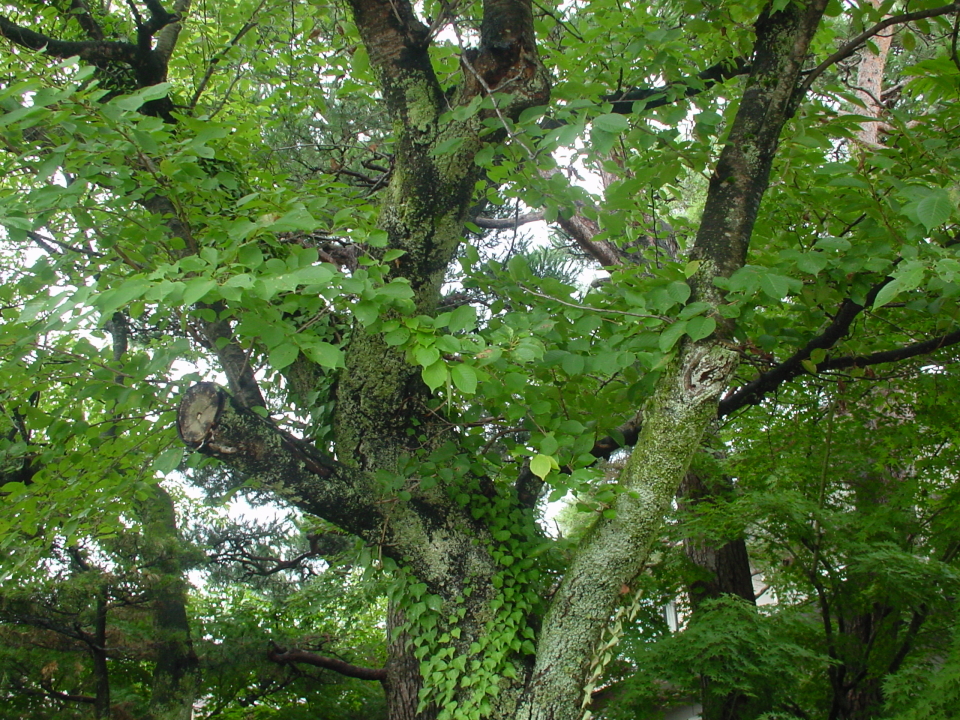 DSC00018 (1)  s.JPG