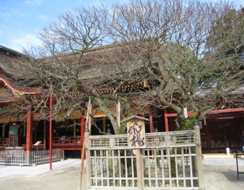 IMG_0449 (350x273).jpg