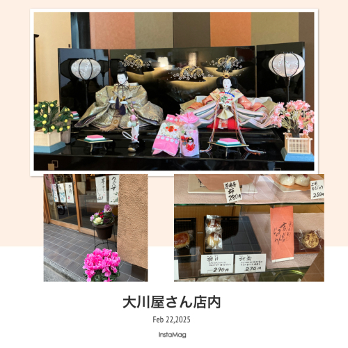 IMG_6832.jpeg
