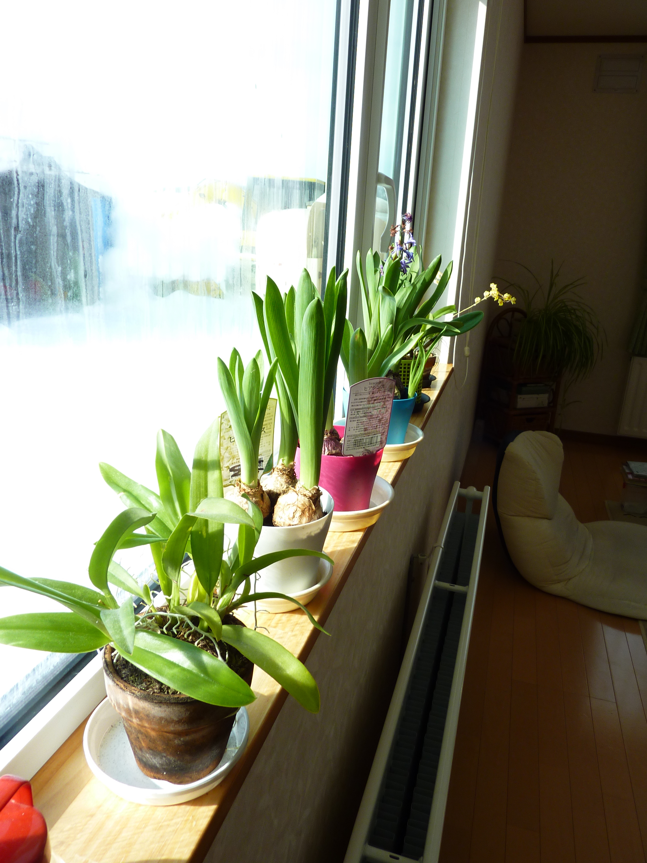 仲良く並んで…