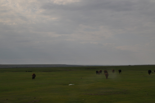 DSC_0076.JPG