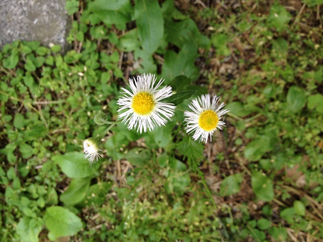 IMG_9304 (640x480).jpg