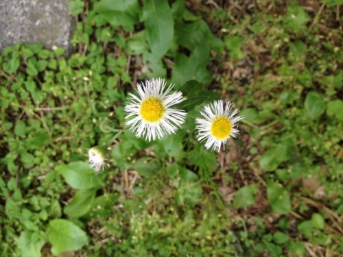 IMG_9304 (640x480).jpg