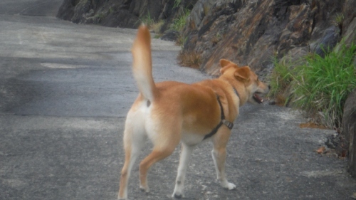 DSCF7288 (640x360).jpg