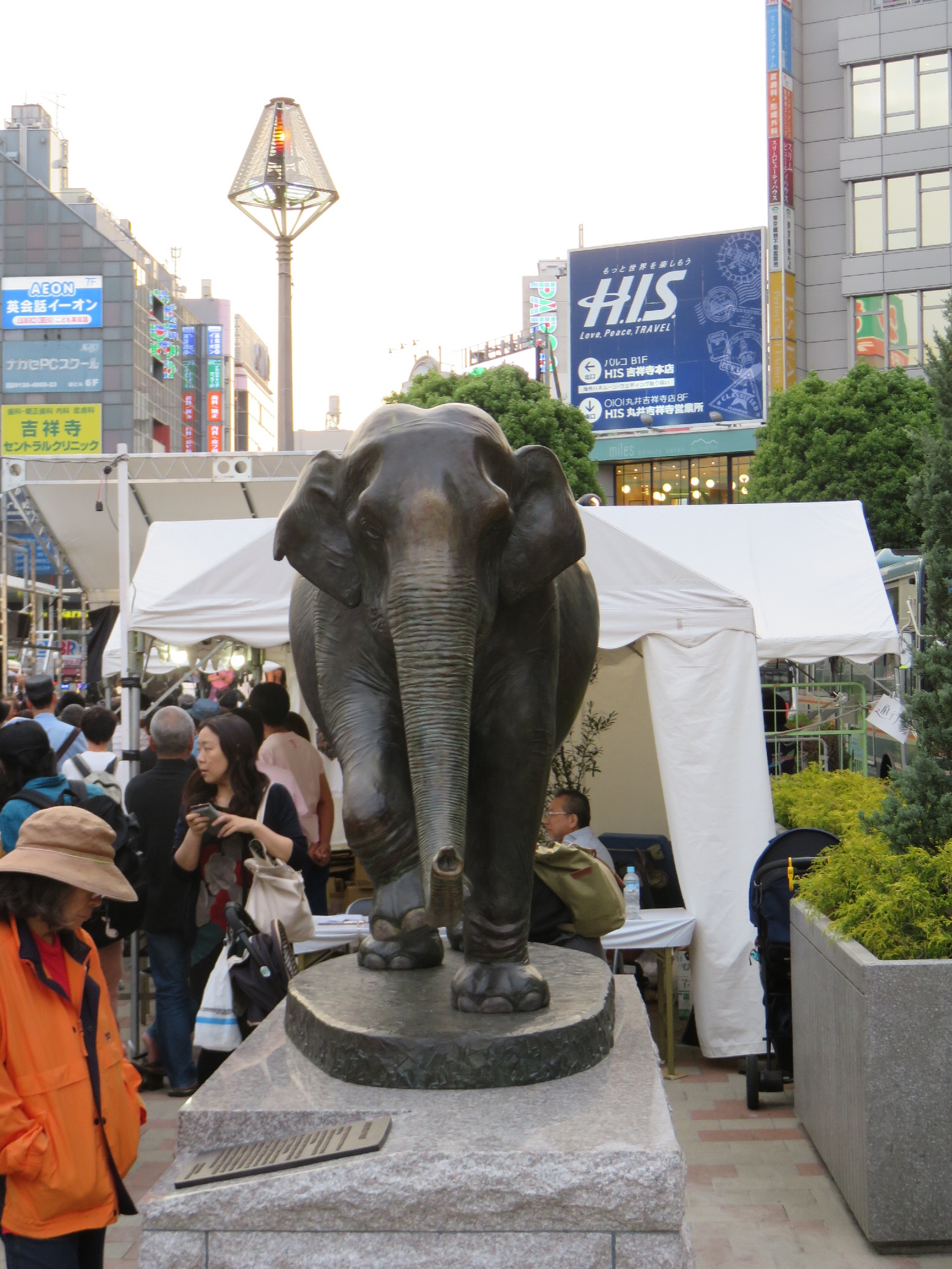 IMG_9844.JPG