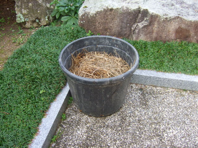 DSCF5451.JPG