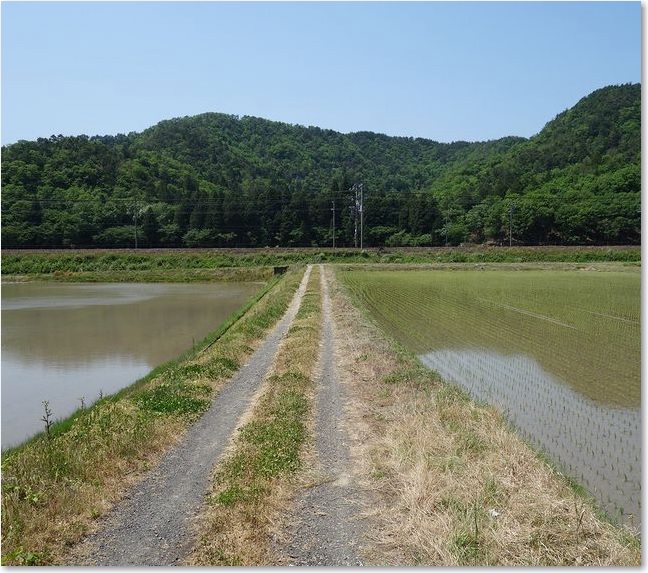 21まわりこみます