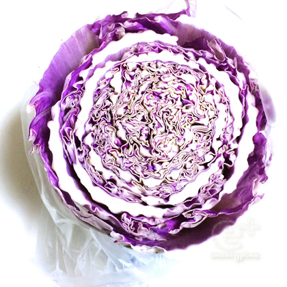 141217 紫白菜