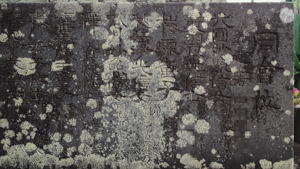 SN3S0590_R.JPG