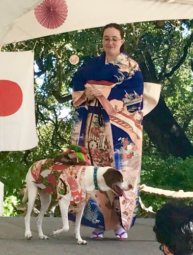 2016.10.16 秋祭 犬も着物.JPG