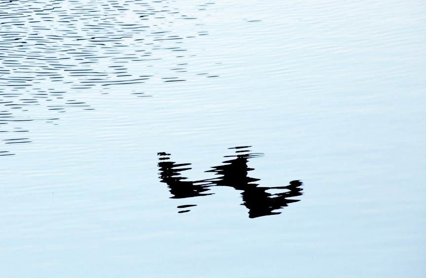 B97A2249 (1024x683).jpg