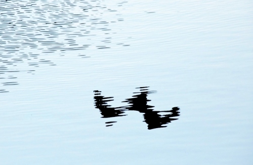 B97A2249 (1024x683).jpg