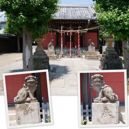 2021-05-25竜神社1.jpg