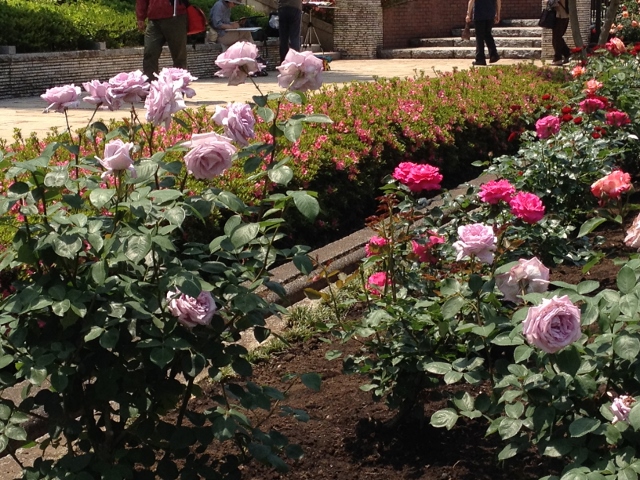 IMG_9046 (640x480).jpg