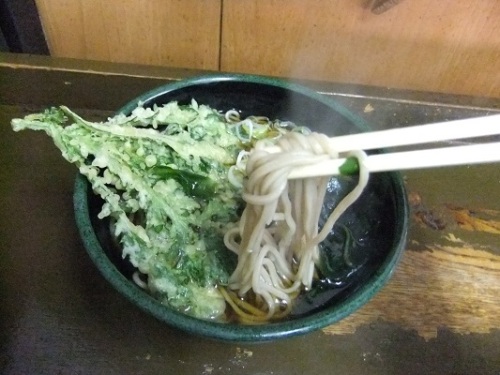 綾瀬４丁目・越後そばの春菊そば２20120212.JPG