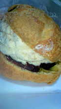 NEC_7542.JPG