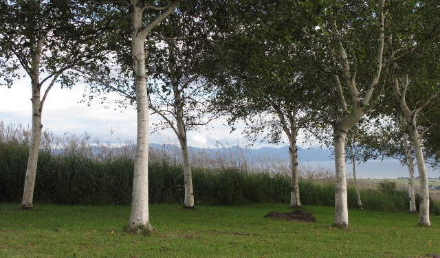 IMG_0419 (640x376).jpg