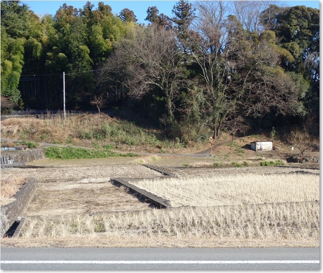 47コンクリの畦