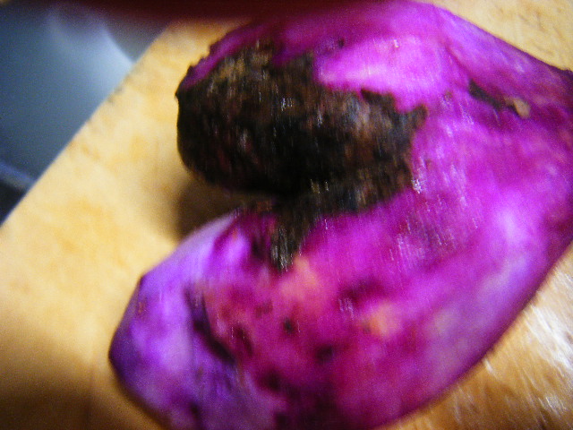DSCF0450.JPG