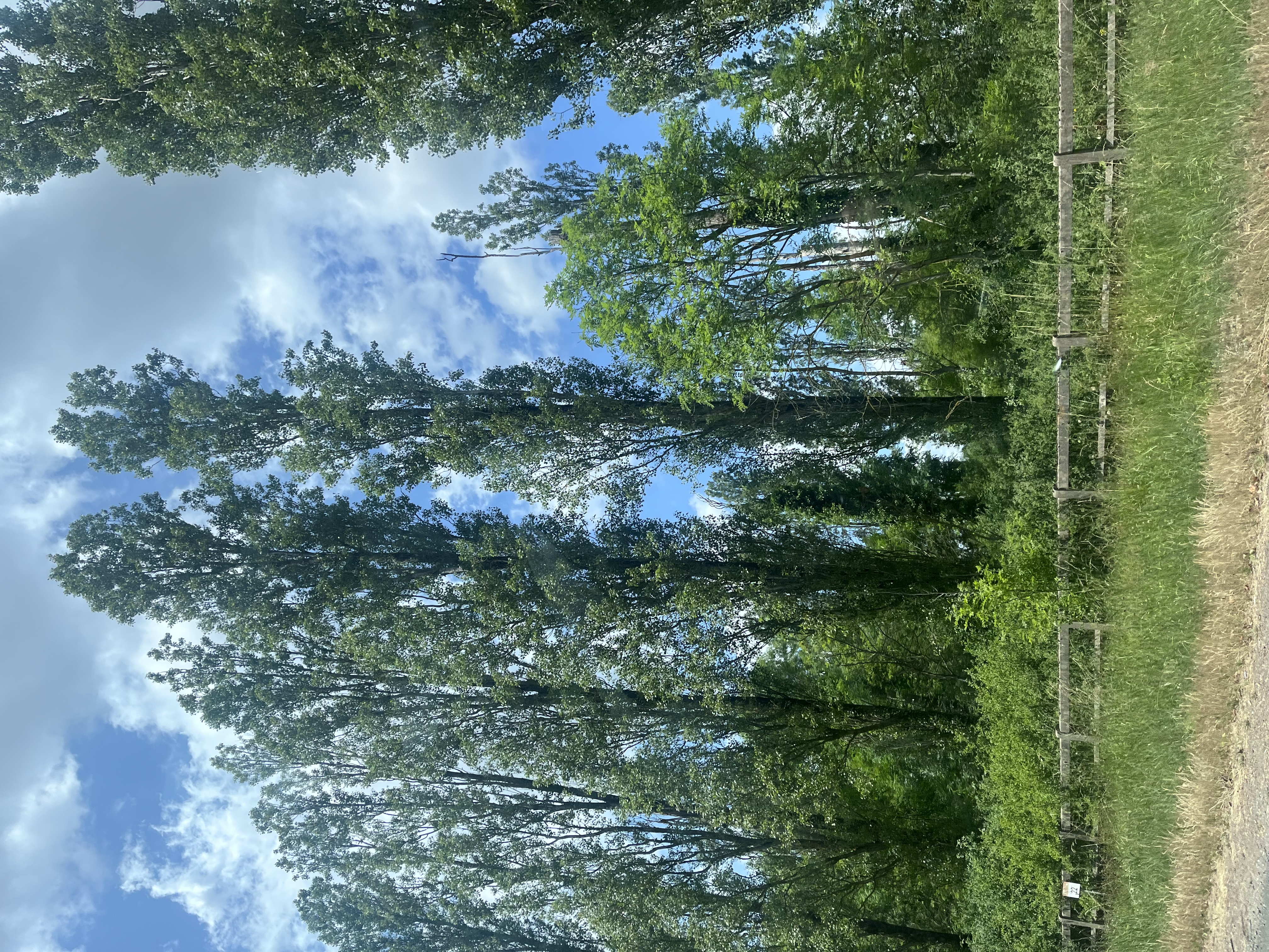 7F18A92D-66AD-413A-8E89-E2C1D6631D3B.jpeg