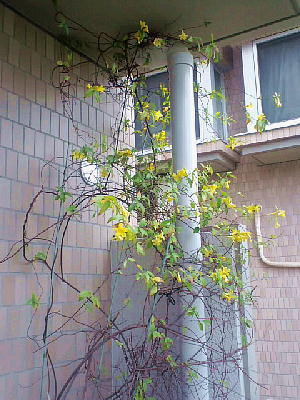 DSCF7748.JPG