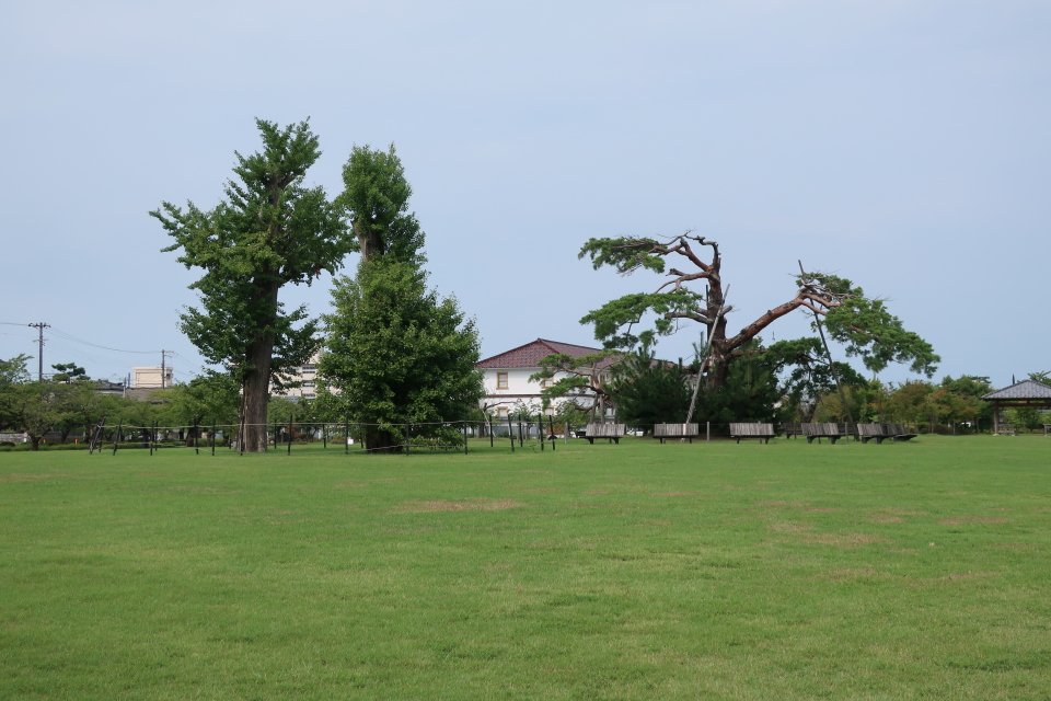 IMG_1088  s.JPG