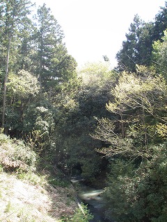 P4280017.jpg