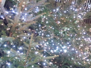 ハービスのイルミネーション2015