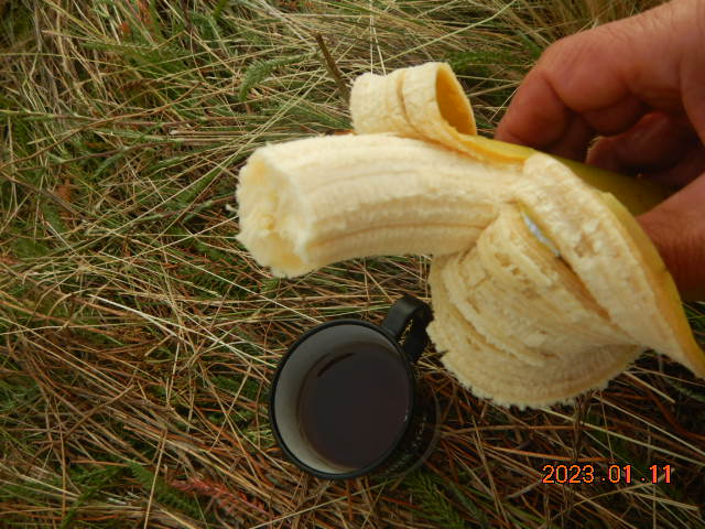 DSCN1386.JPG