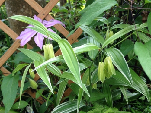 IMG_7027 (640x480).jpg