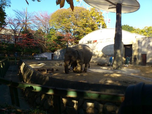 20121125王子動物園 009.jpg