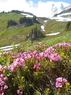s-DSCN0945.jpg