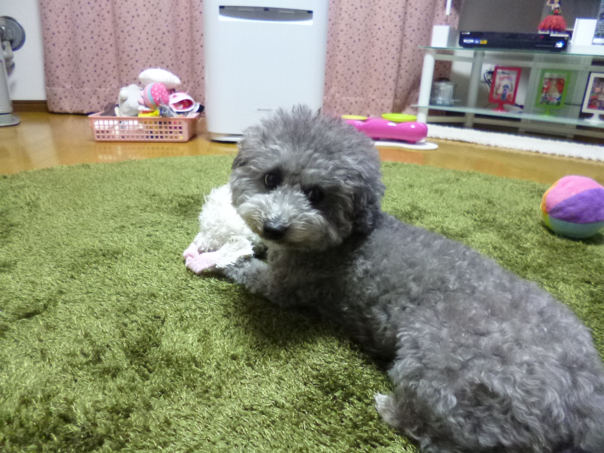 P1030146.JPG