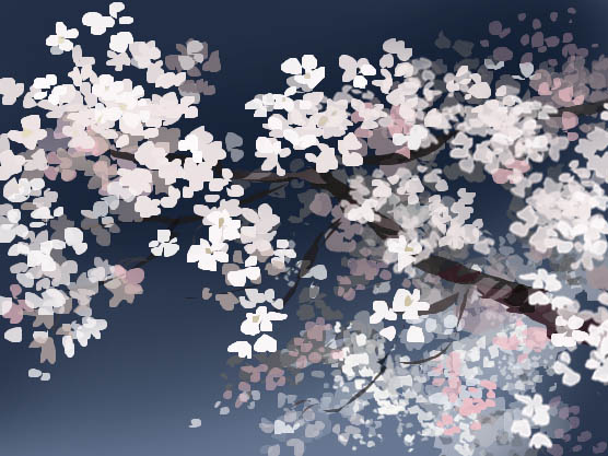 hana21桜.jpg