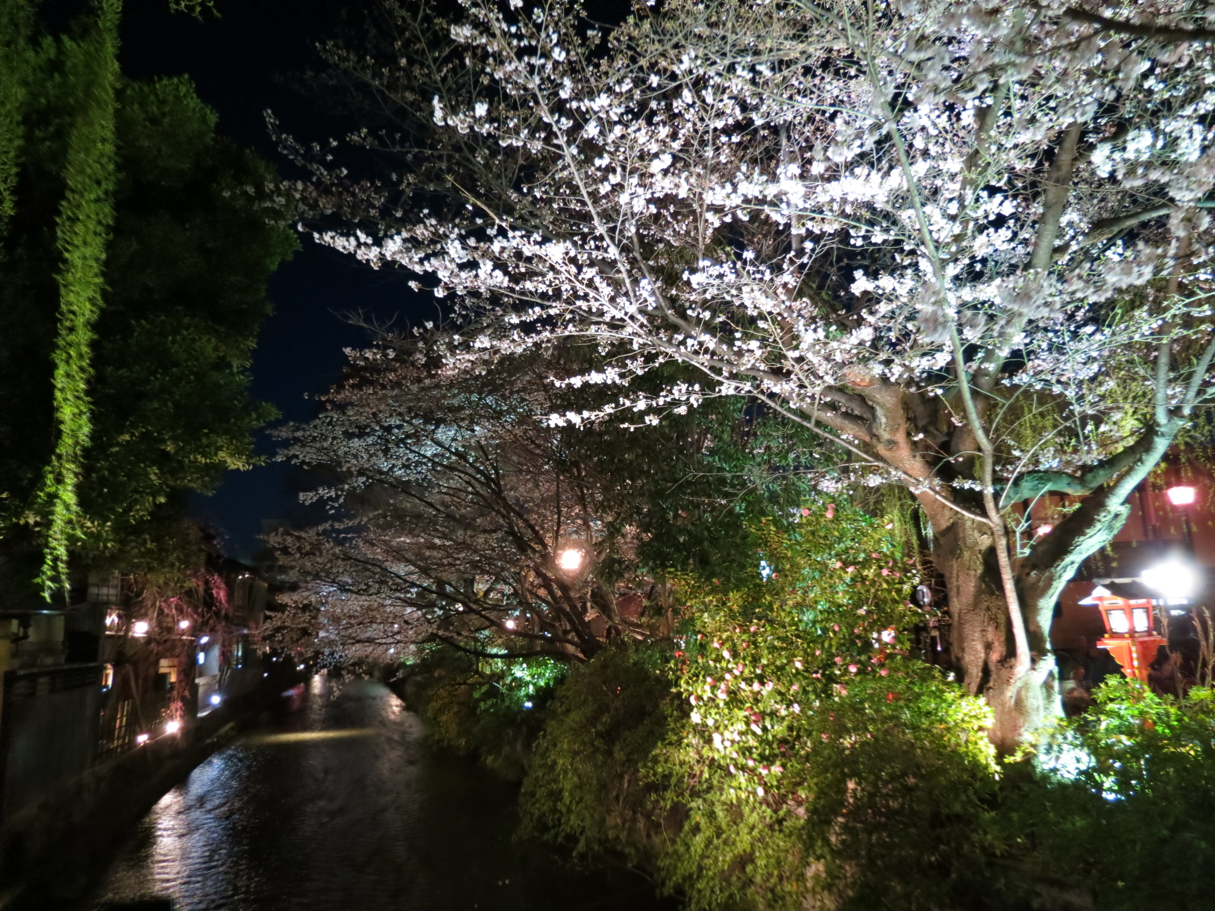 京都２０１２年 030.JPG