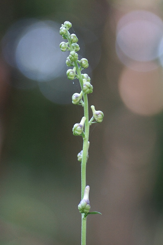 0828-5.jpg