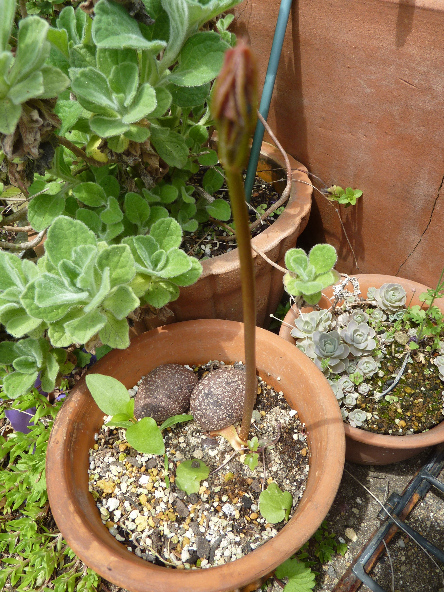 P1100211.JPG
