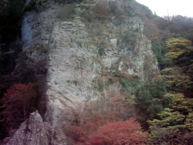 C:\fakepath\shodoshima041.jpg