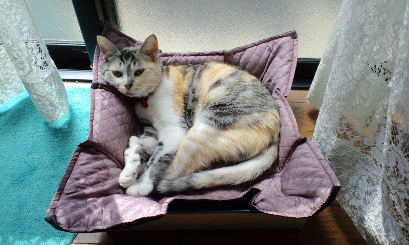 2013-5-1(V.2013_09_23__11_10_45).jpg