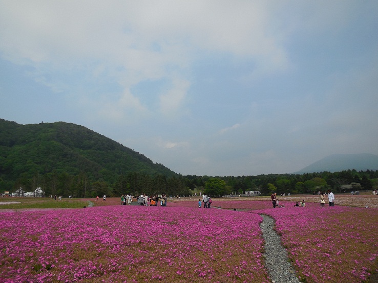2013-5-26 005s.JPG