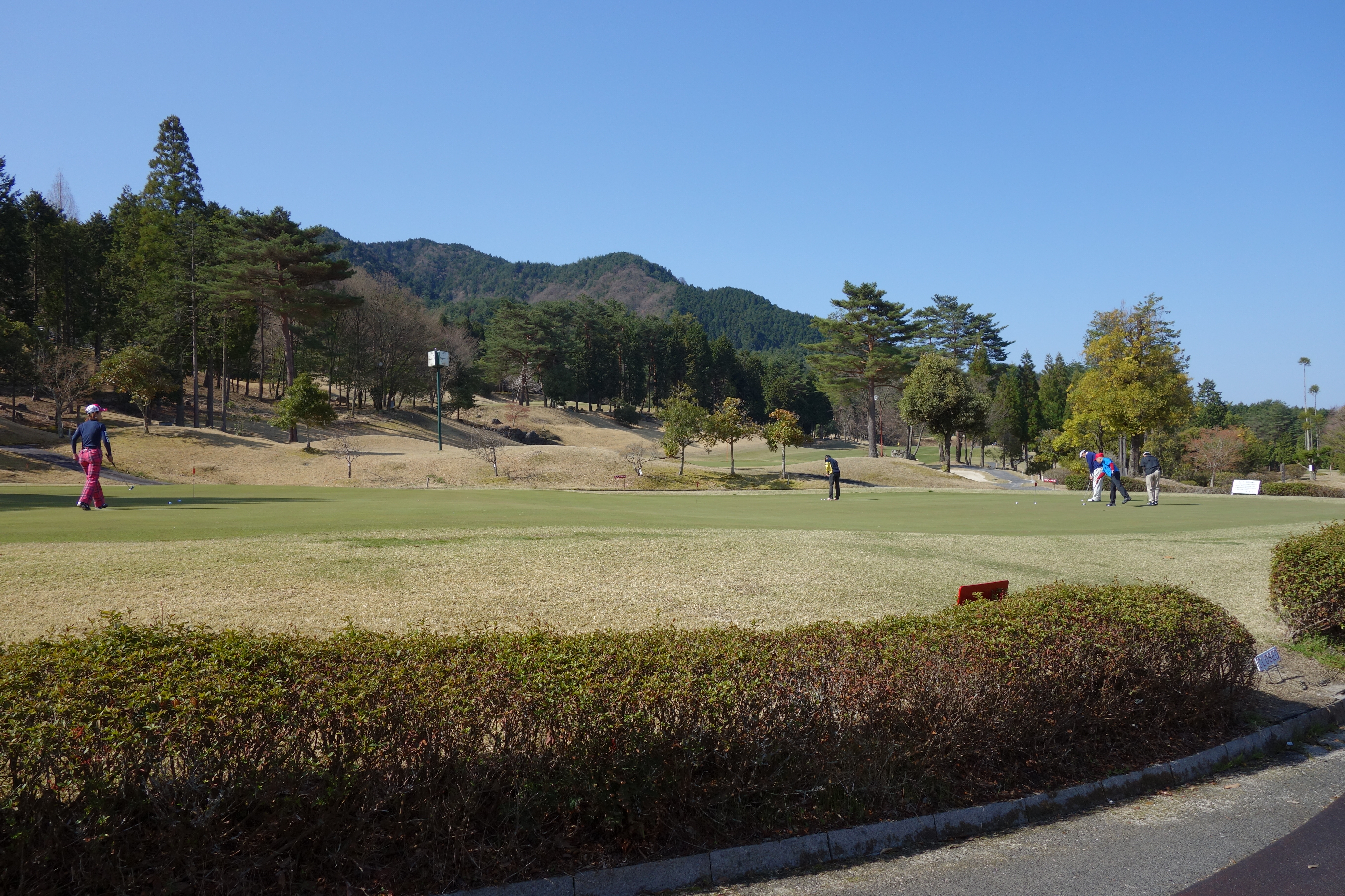 DSC00002.JPG