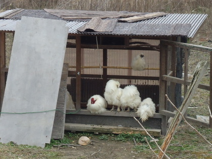 DSC08745.JPG